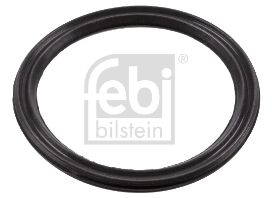 Seal Ring, engine oil level sensor